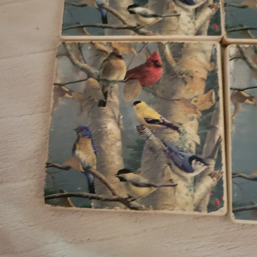 Bird Coasters Set of 4 Cork Back Cardinal Finch Birch Trees‎ Wood Holder 4x4